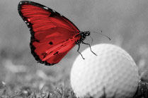 butterfly on golf ball from fresh start brochure